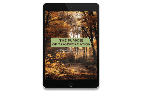 The Purpose of Transformation: A 5-Week, Video-Driven Discipleship Curriculum for Men